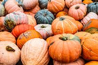 Photo of pile of pumpkins