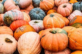Photo of pile of pumpkins by Jack Tummers