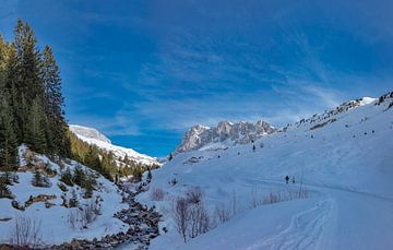 Besneeuwd dal in de Prättigau, Sankt Antönien, Graubünden, Zwitserland van Rene van der Meer