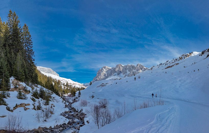 Schneebedecktes Tal im Prättigau, Sankt Antönien, Graubünden, Schweiz von Rene van der Meer