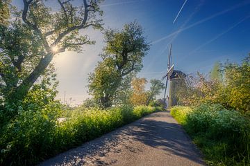 Mill in spring by Thijs Friederich