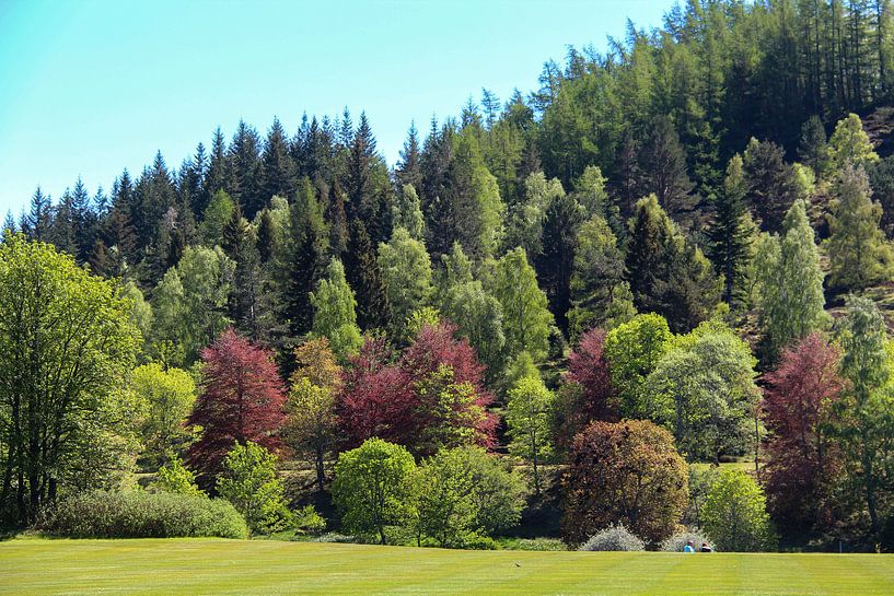Herbstliche Farben von Henk Alblas