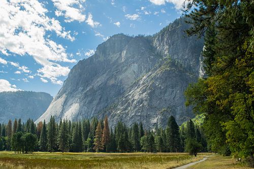 Yosemite National Park
