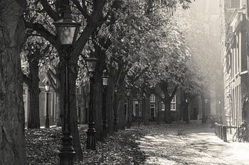 Die Leidener Brücke in Grautönen: Schwäne unter der Kirchenbrücke