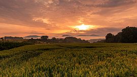 Wachtberg sur Jens Unglaube