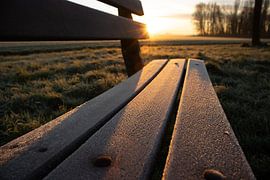 the road to tomorrow by Lonneke Collewijn