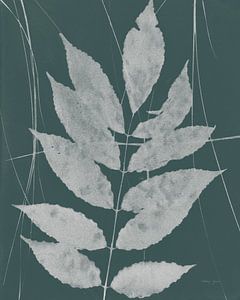 Enchanted Fall Cyanotype IX, Nancy Green van Wild Apple