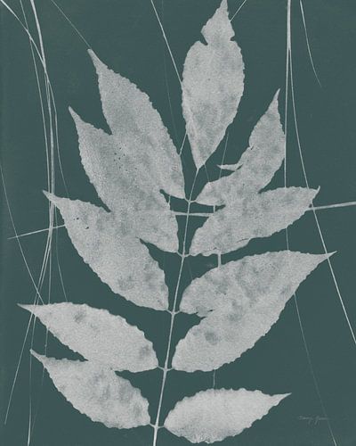 Enchanted Fall Cyanotype IX, Nancy Green