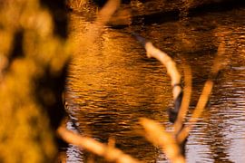 Gouden water van Marita Helene Eichten