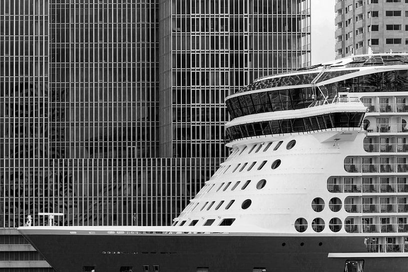 Cruiseschip voor de Rotterdam in Rotterdam van Michèle Huge