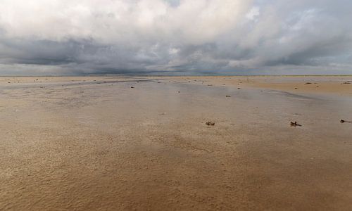 Tempête sur les vasières
