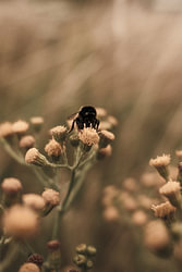 Face to face with silence