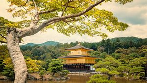 The Golden Temple