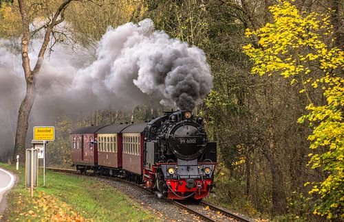 HSB 99-6001 Alexisbad