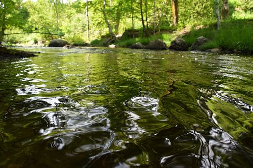 De rivier in het park in de zomer