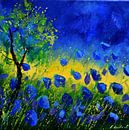 Blauwe klaprozen 44 van pol ledent thumbnail