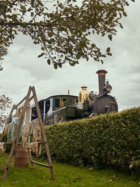Steam train passes authentic Dutch garden by Noah van Kipshagen