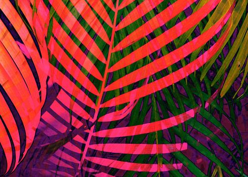 COLORFUL TROPICAL LEAVES no7