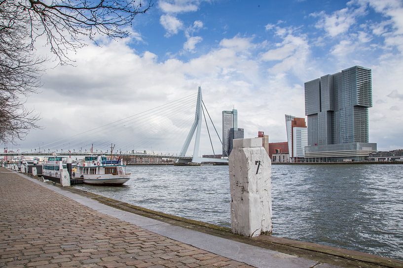 Zicht op de Erasmusbrug van Peter van Rooij