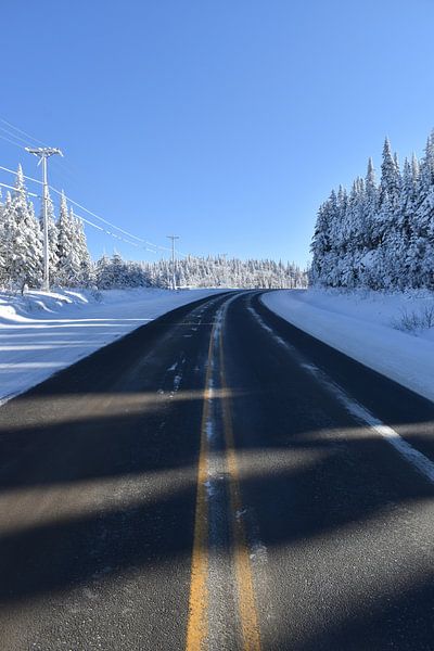 Eine Landstraße im Winter von Claude Laprise