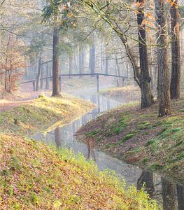 Magische ochtend op landgoed Heidestein! van Peter Haastrecht, van