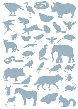 Collage van dieren-, vogels- en insectensilhouetten