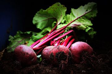 beets by Yvonne Blokland