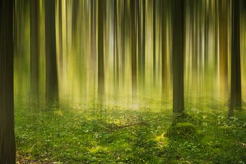Magic forest by Truus Nijland
