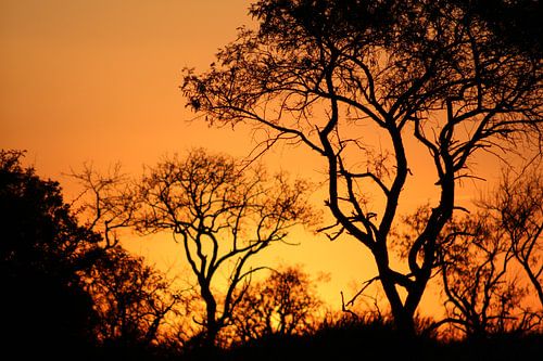 Zonsondergang, Zuid-Afrika