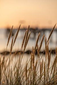 Ostsee: Sonnenuntergang an der Seebrücke Wustrow / Darß bei Sonnenuntergang