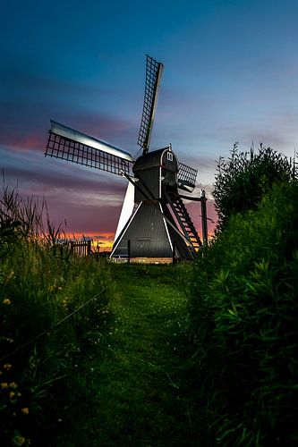 Molen
