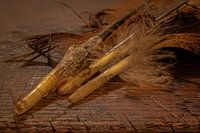 Pheasant feathers
