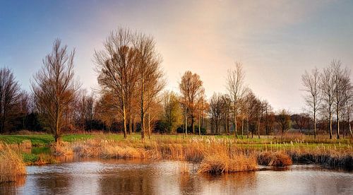 Zuiderplas Den Bosch