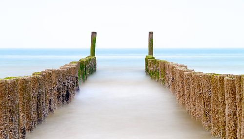 Die Buhnen an der Küste von Zeeland