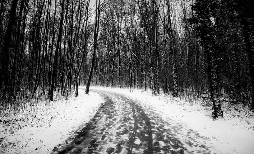 The snowy path by Maickel Dedeken