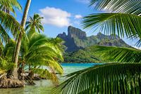 Weelderige natuur van Bora Bora