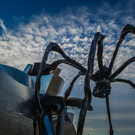 L'araignée de Bilbao sur Sanne Lillian van Gastel