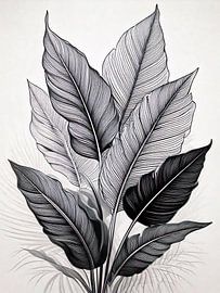 Botanische Linienkunst in Schwarz und Weiß von rendyokt rendy