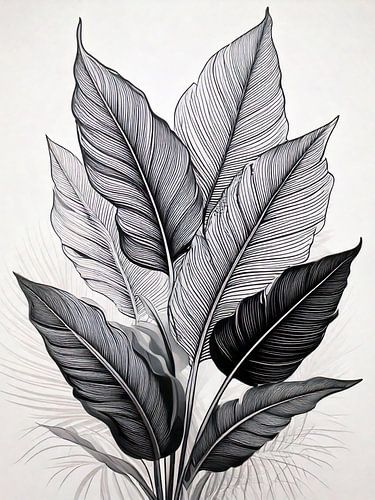 Zwart-wit Botanische Lijnkunst