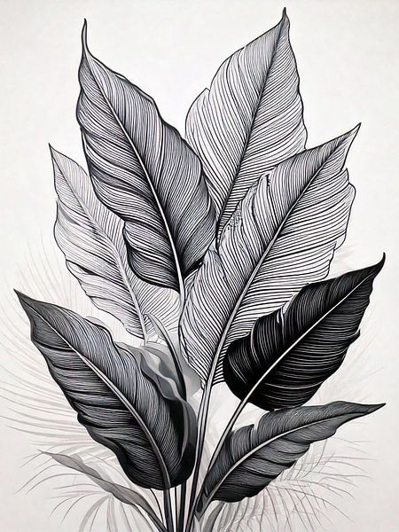 Zwart-wit Botanische Lijnkunst van rendyokt rendy