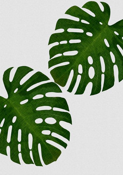 Feuille de monstera II par Orara Studio