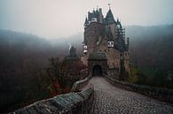 Mistige ochtend bij Burg Eltz in Duitsland van Edwin Mooijaart thumbnail