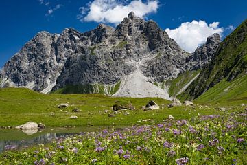 Großer Wilder, Allgäuer Alpen