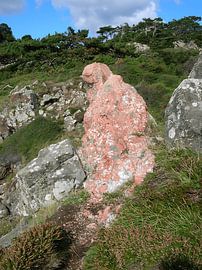 Une nature côtière sauvage et romantique, Kullaberg, Suède 2 sur Helmut Martin