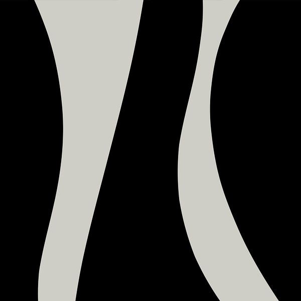 Schwarz Abstrakte Organische Geometrische Formen Nr. 3 von Dina Dankers