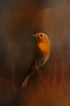 Merle aux couleurs de l'automne