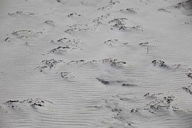 Baltic Sea beach by Thomas Jäger