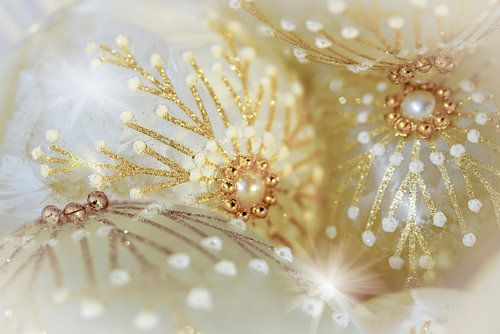 Stilleven in winterse sferen rond de kerst.