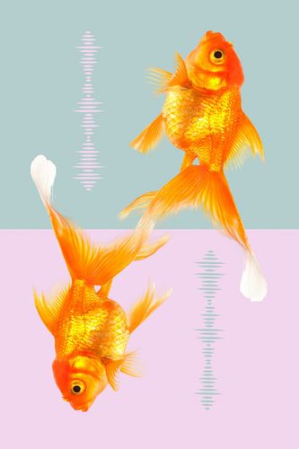 Long-tailed goldfish by Fineline