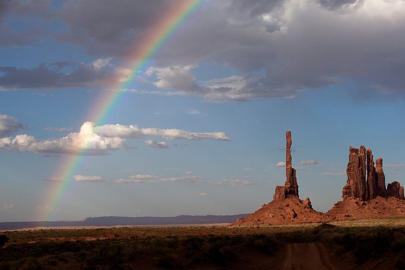 Totem Pole, Monument Valley 2011 von Arno Fooy